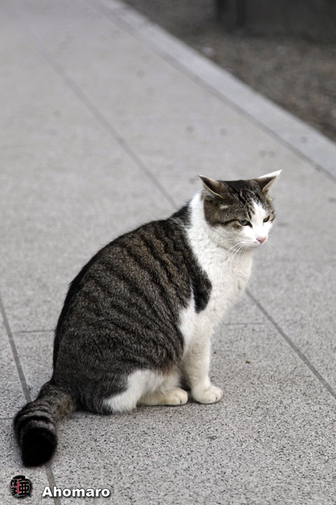 写真00