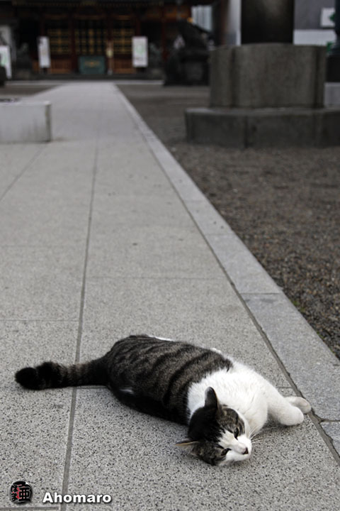 写真00