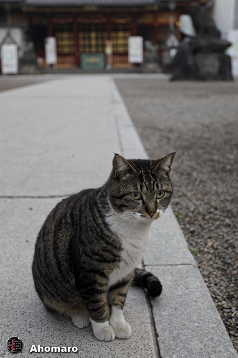 写真00