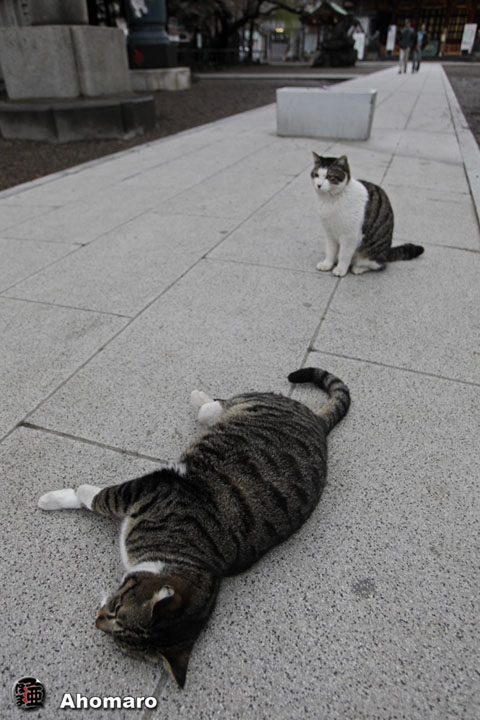 写真00