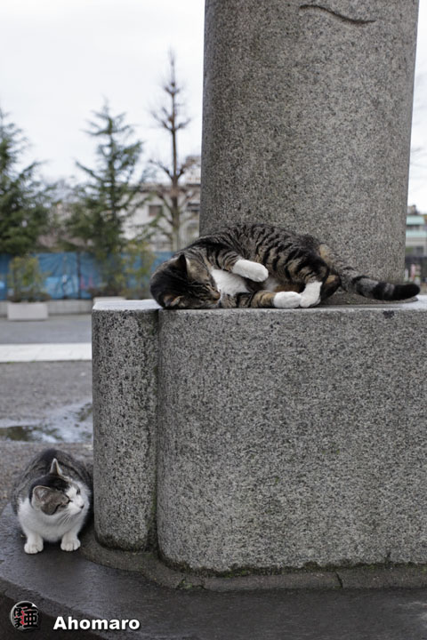 写真00