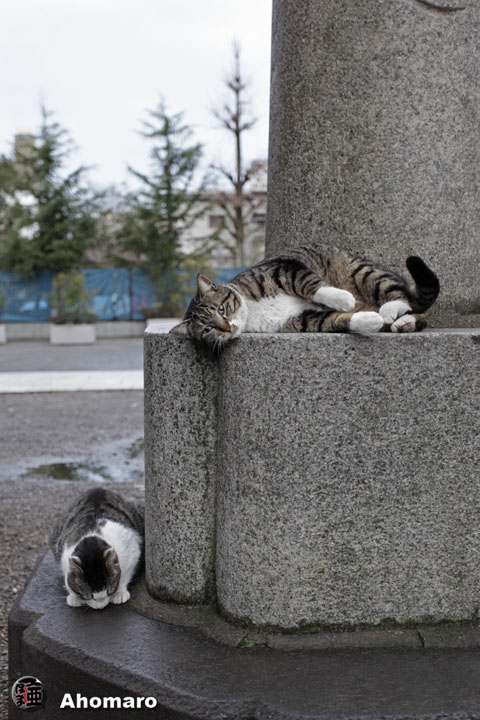 写真00