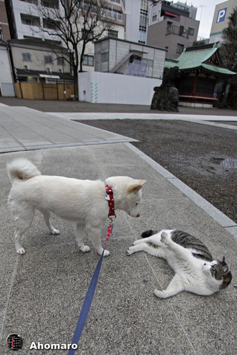 写真00