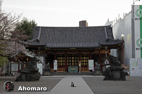 写真00