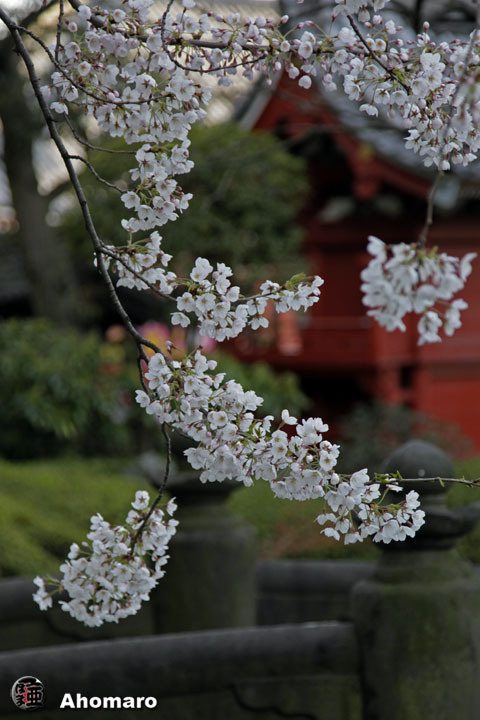 写真00
