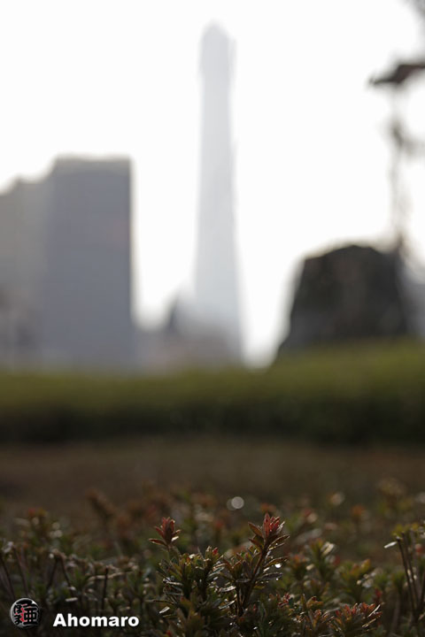 写真00