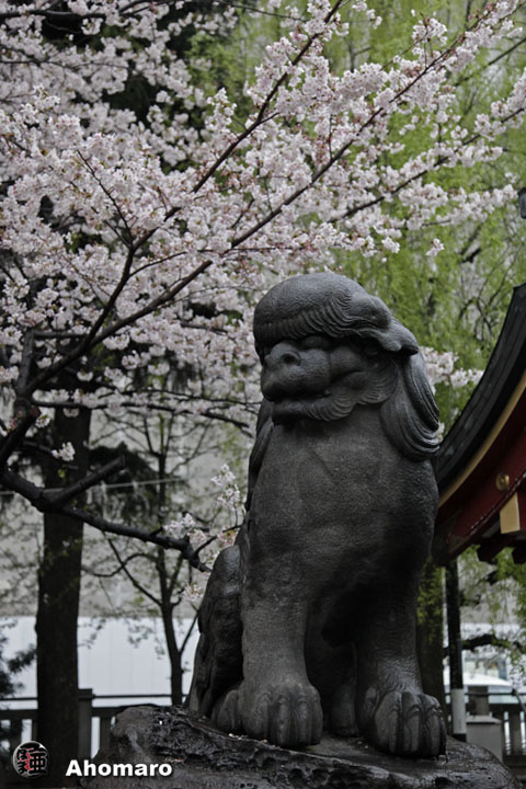 写真00