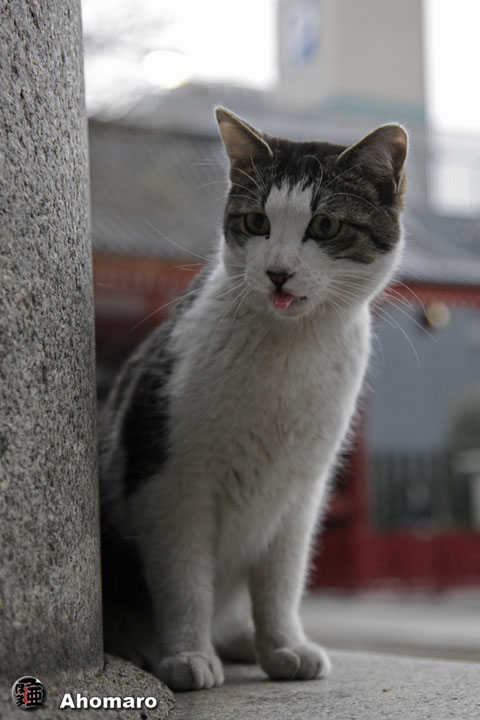 写真00