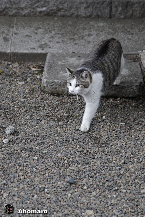 写真00
