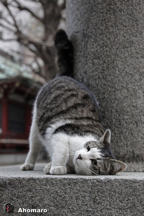 写真00