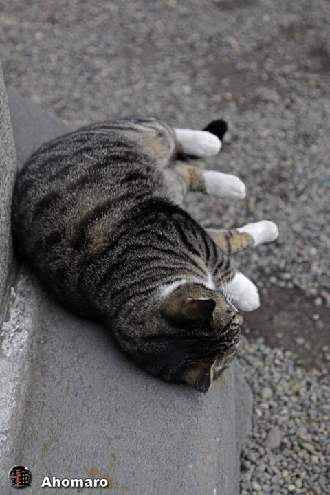 写真00