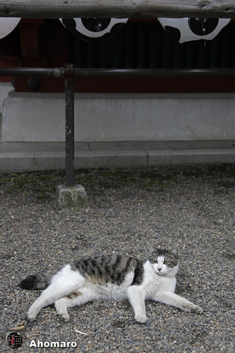 写真00