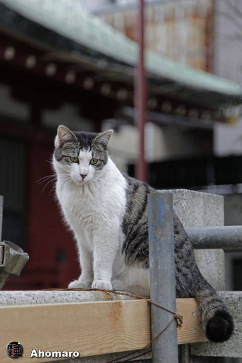 写真00