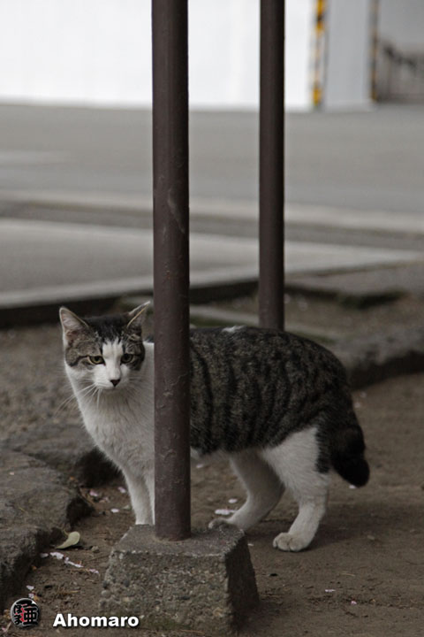 写真00