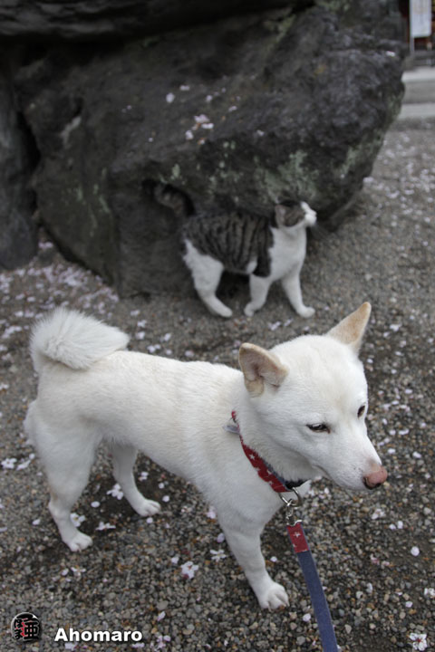 写真00
