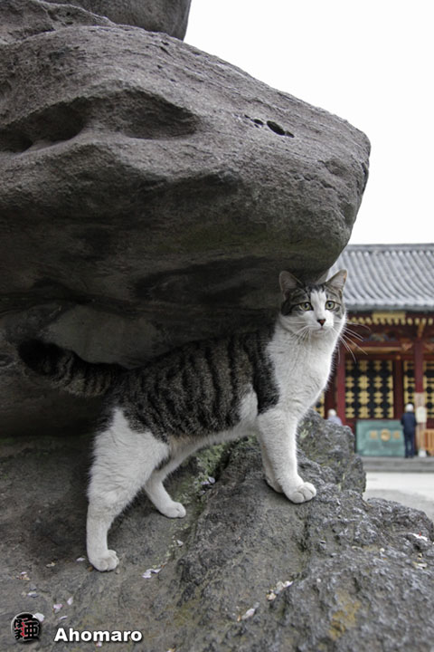 写真00