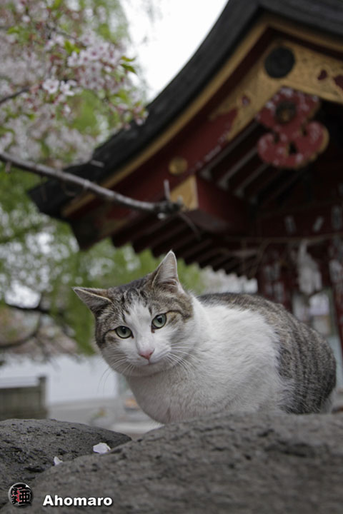 写真00
