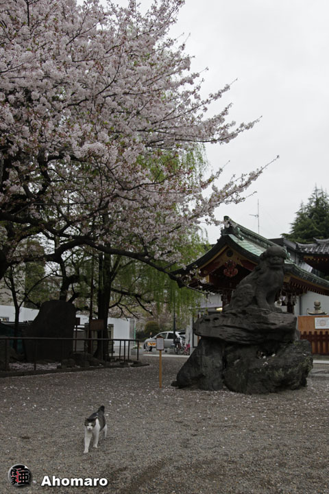 写真00