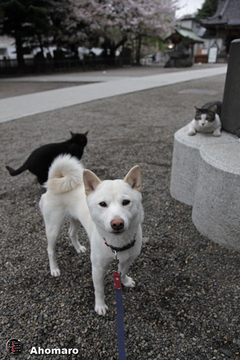 写真00