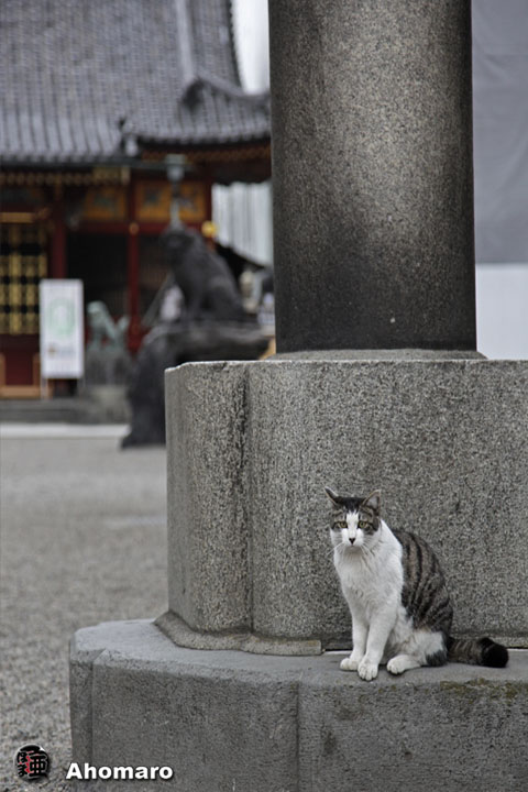 写真00