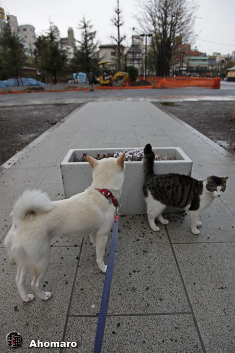 写真00