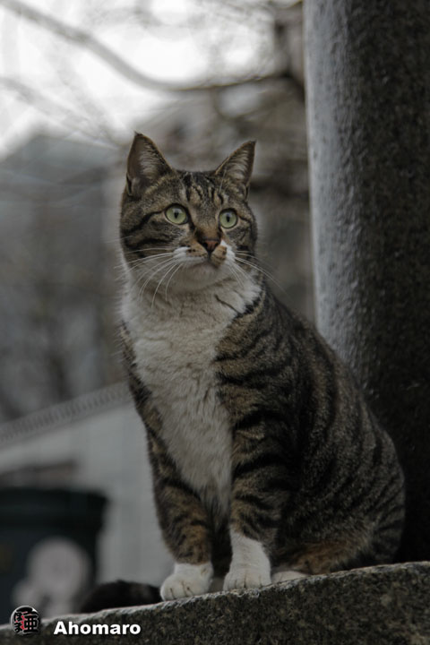 写真00