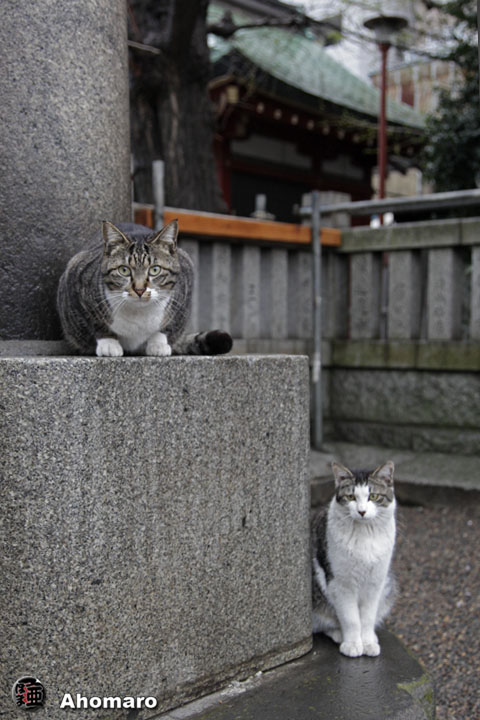 写真00