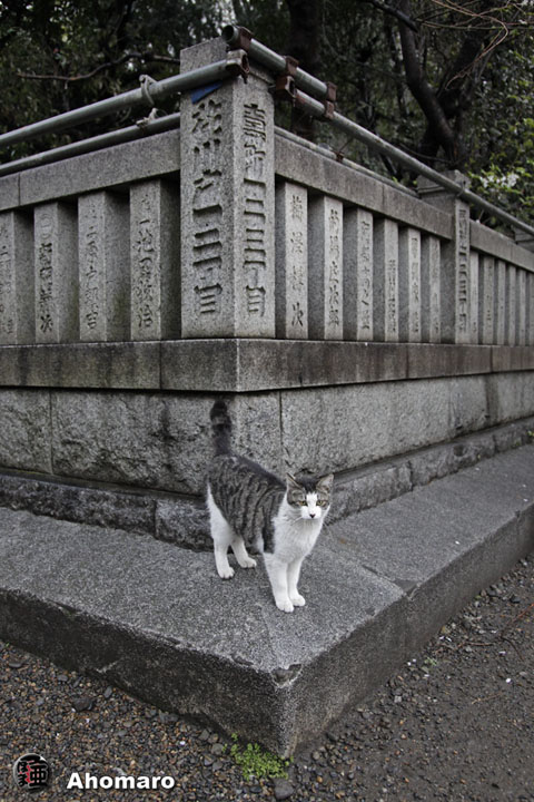 写真00