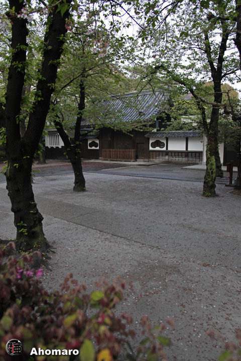 写真00