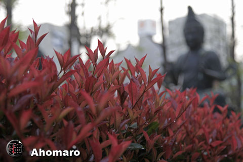 写真00