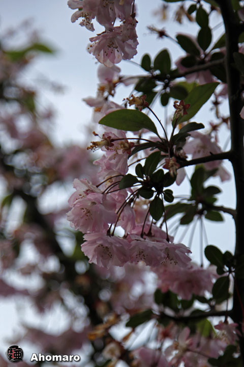 写真00