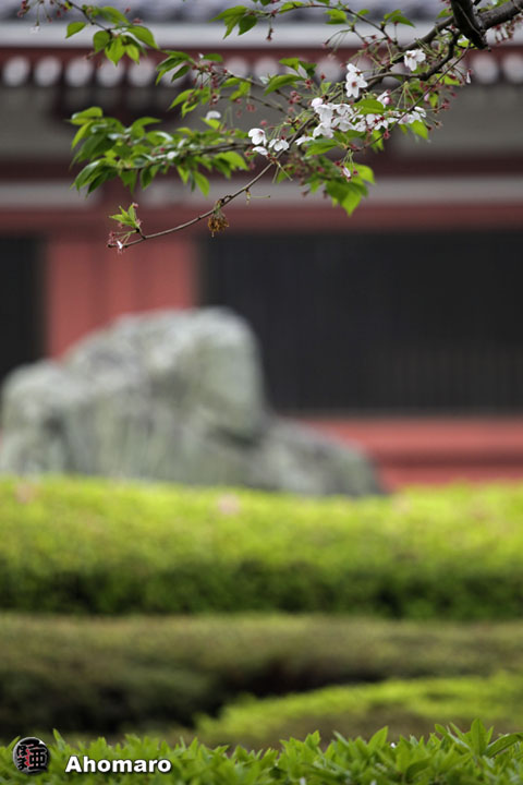 写真00