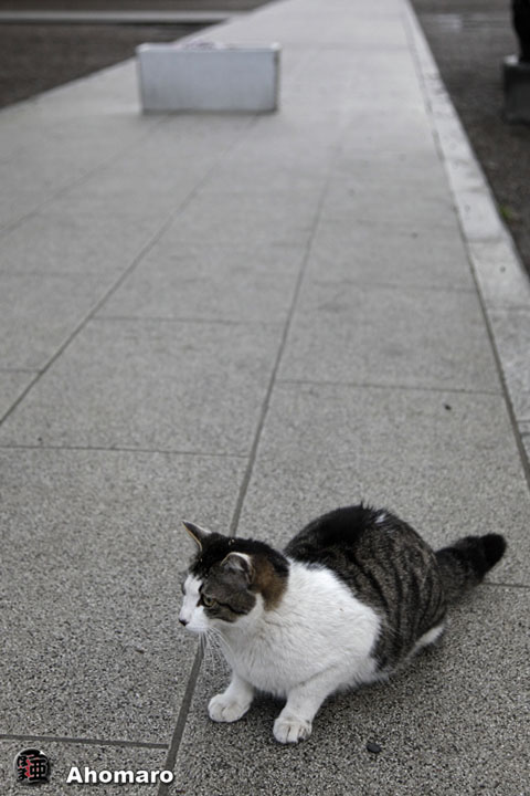 写真00
