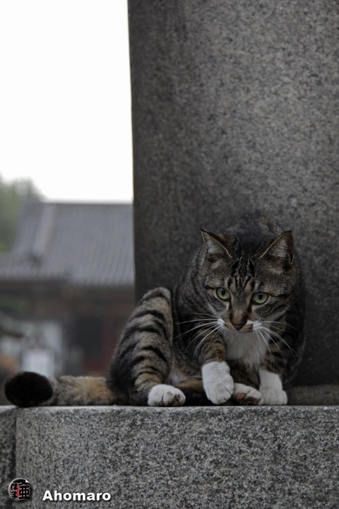 写真00