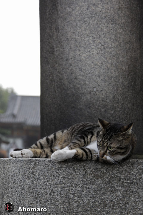 写真00