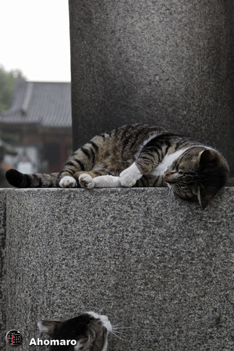 写真00
