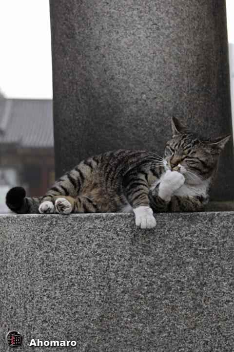 写真00