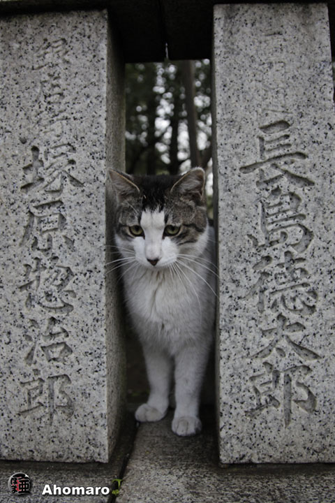 写真00