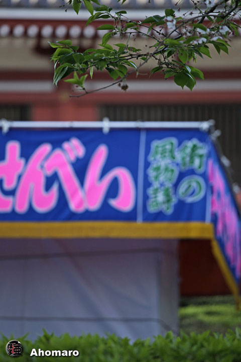 ʐ^00