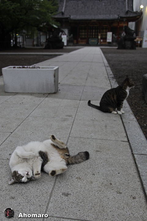 写真00