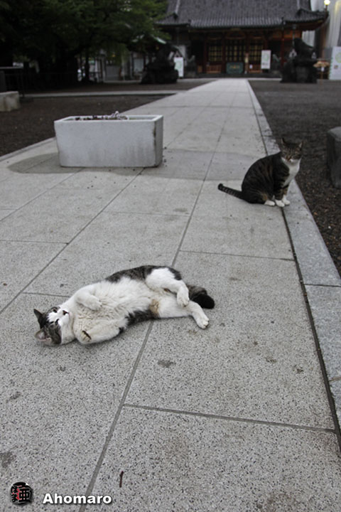 写真00