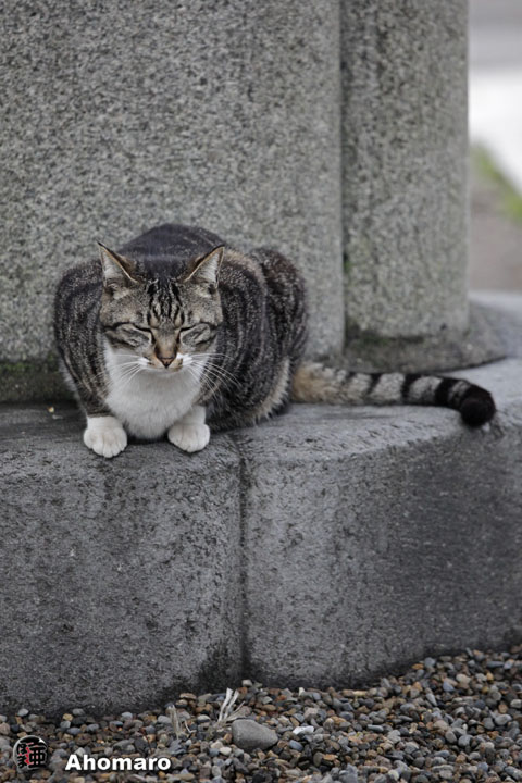 写真00