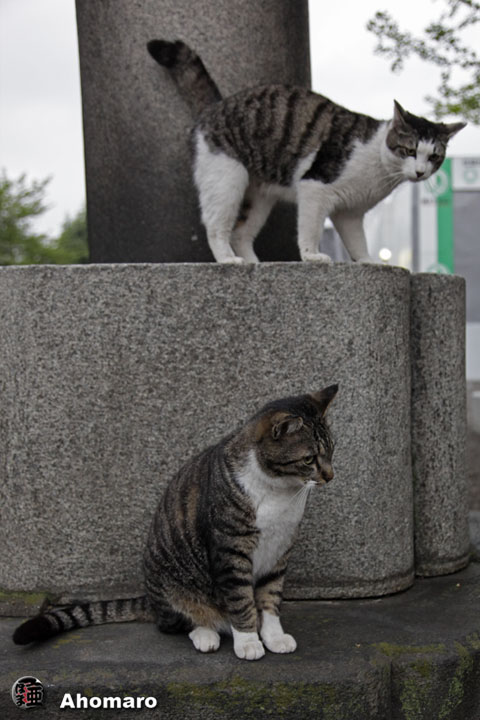 写真00