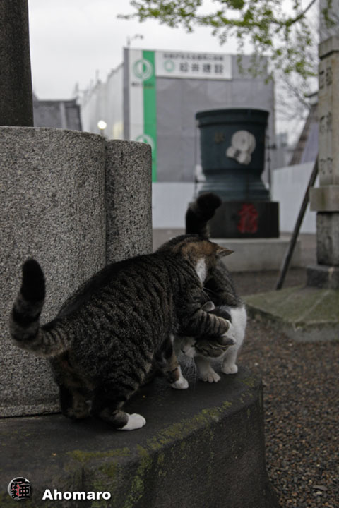 写真00