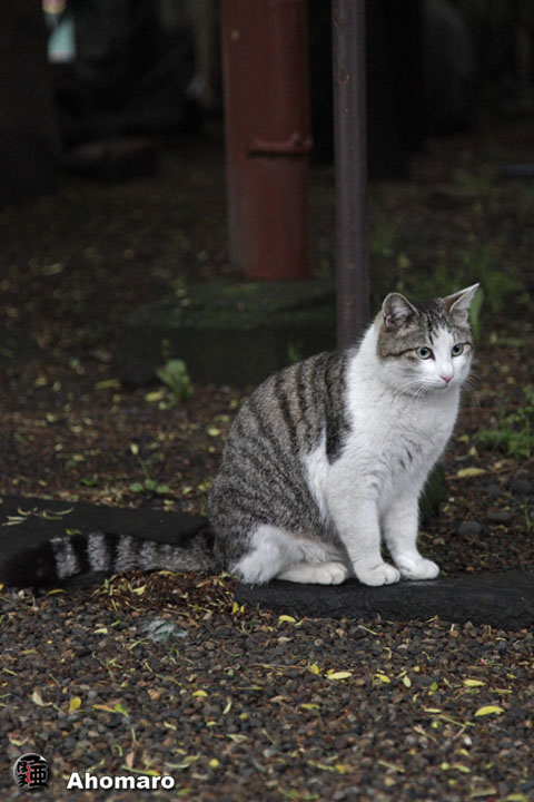写真00