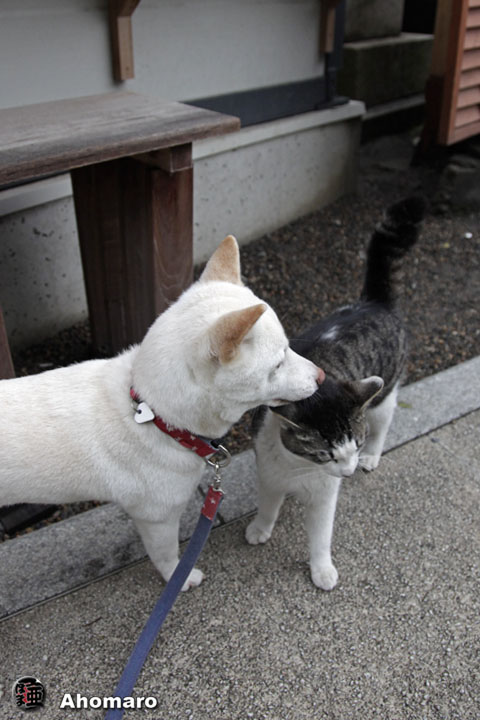 写真00