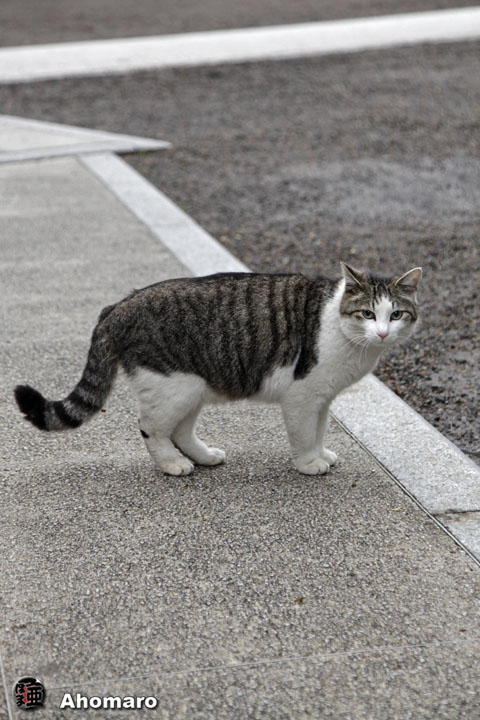 写真00