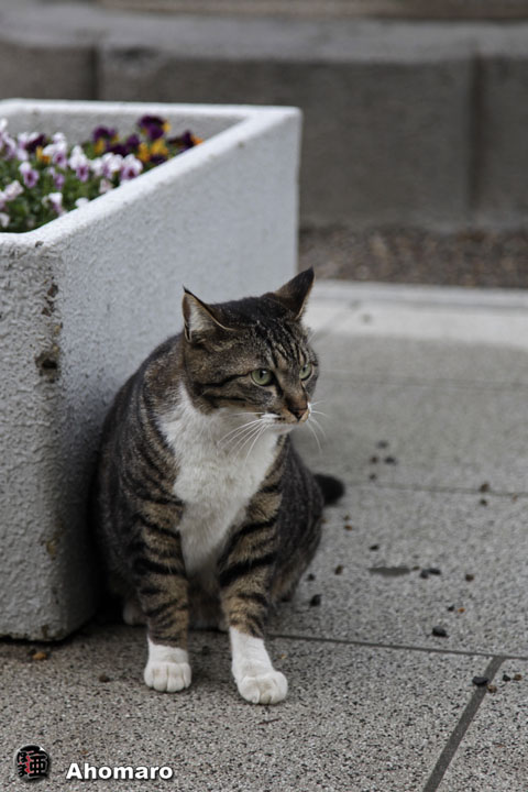 写真00