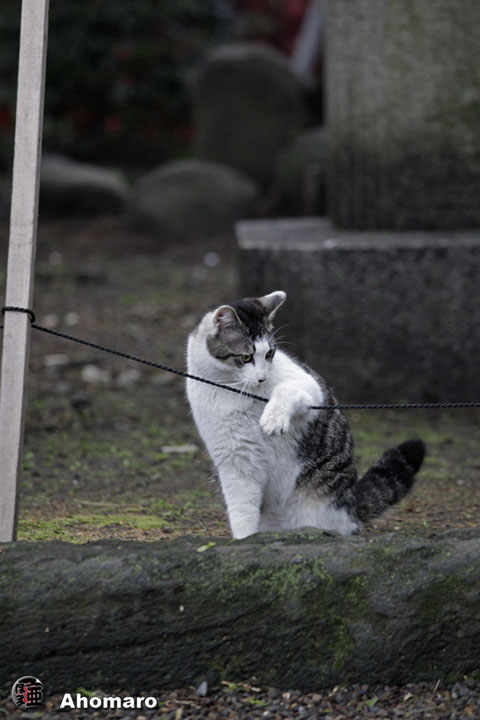 写真00