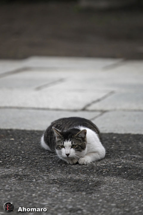 写真00
